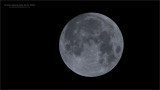 Super Moon Jan 31st, 2018 - Swarovski Scope