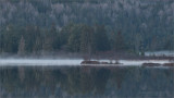 Algonquin Still Water