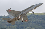 Swiss F/A-18 Hornet Solo Display