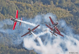 Royal Jordanian Falcons