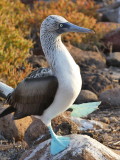 Galapagos Islands March 2018