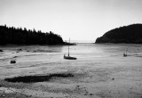 Sandy Cove, Low Tide, Digby Neck, Nova Scotia