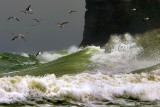 Storm on the Black Sea