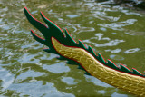 Dragon Boat Race