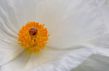 57_D_vonBriesen__MG_7998.jpg