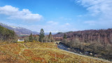 The river Truim