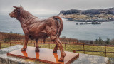 20180306_155514-01.jpg