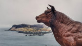 20180306_160159-01.jpg