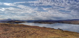 20180307_094541-01.jpg