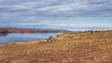 20180307_094550-01.jpg