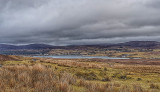 20180308_103600-01.jpg