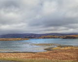 20180308_110157-01.jpg
