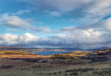 20180308_163101-01.jpg