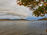 Beauly firth