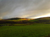 20171116_090857-02.jpg