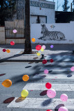 COLOUR PHOTOS