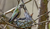 Mother and Offspring