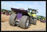 Pulling-126.jpg