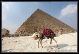 Egypte-Gize-067.jpg