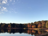 wtcolorsOct17.jpg