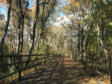 biketrail18.jpg