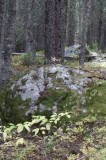 Boulders in the Woods