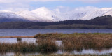 The Glen Luss hills from RSPB Loch Lomond