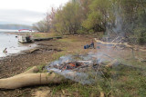 cove10-17IMG_3048.jpg