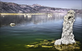 Mono Lake Tufa