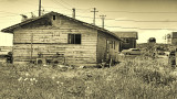 A Dwelling, La Push