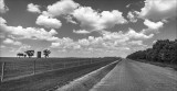 Rural Road in mono