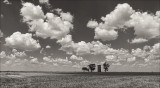 Kansas Sky