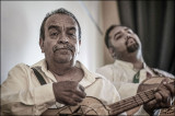 Mariachi Entertainer
