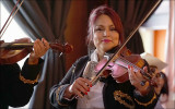 Mariachi Musician