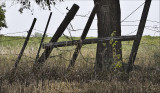 Rack and Ruin