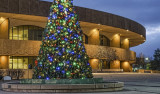 The Tree at Century Two 