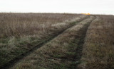 Truck Tracks