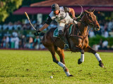 Singapore Polo Club