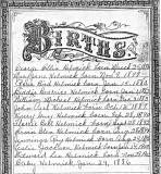 Helmick Births 1876-1902