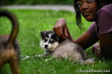 July9_17_141.jpg