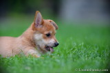 Sept9_18_043.jpg