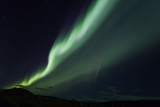 Aurora_9519