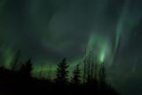 Aurora_9614