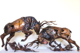 Tony Evans Sculptures