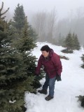 The annual Christmas tree hunt
