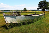 138A0959.JPG