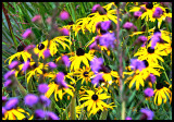 Flower mix