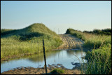 Flood puddle