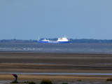ANGLIA SEAWAYS passing Cleethorpes Fitties  (Leaving Immingham).JPG