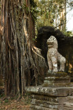 Stone Lion at Preah Khan